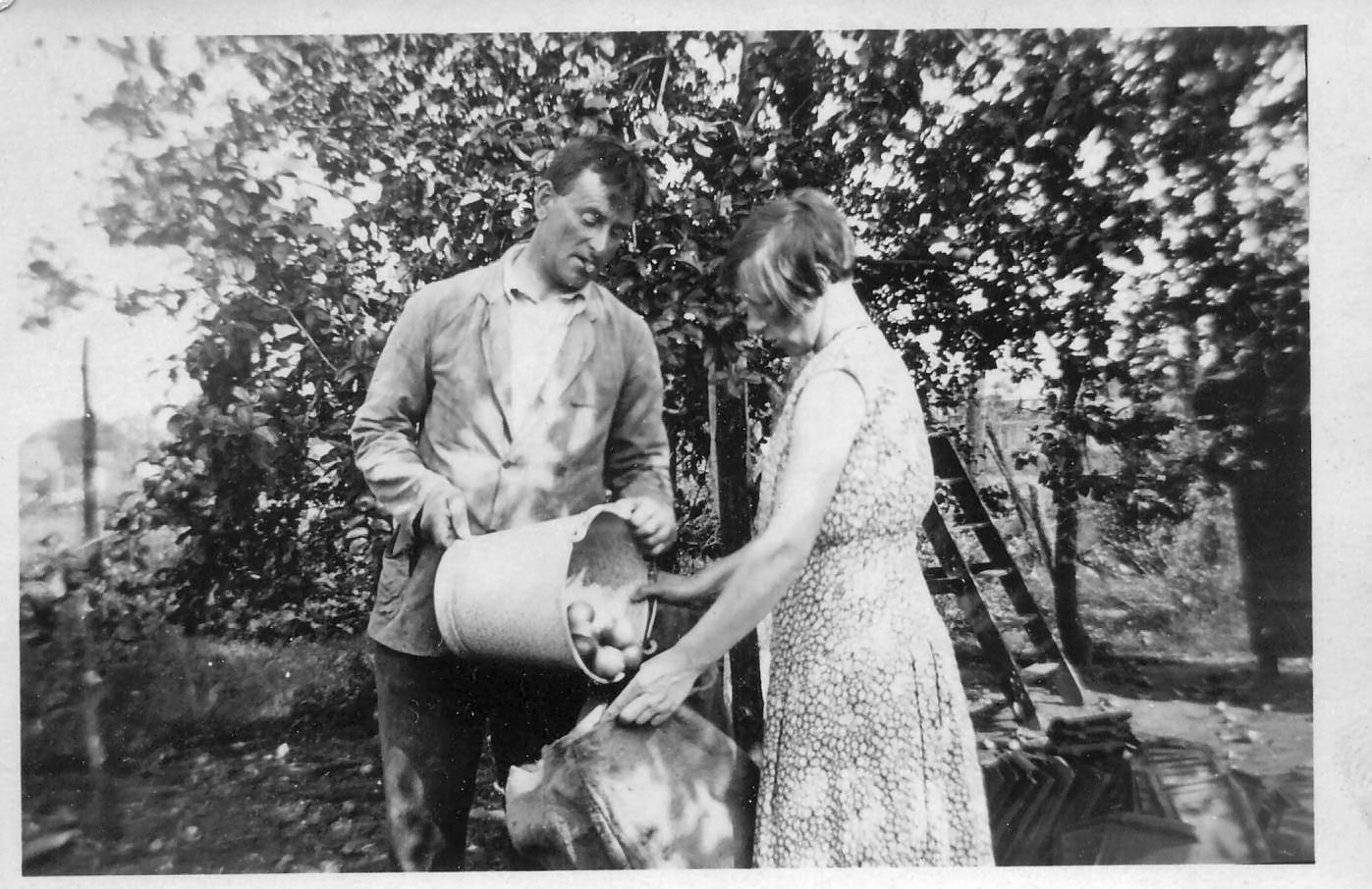 Klik voor foto in apart venster hermanus_vd_broek_1894_d.jpg
